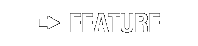 FEATURE