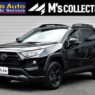 RAV4特別仕様車アドベンチャーオフロードパッケージ黒