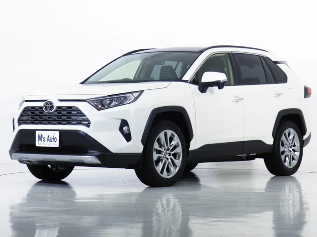 RAV4