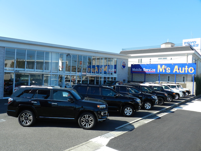 M'sオートの店舗前に並んだ複数台の黒い展示車両を撮影した外観写真