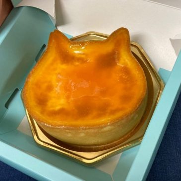 ねこねこチーズケーキ(=^･ω･^=)