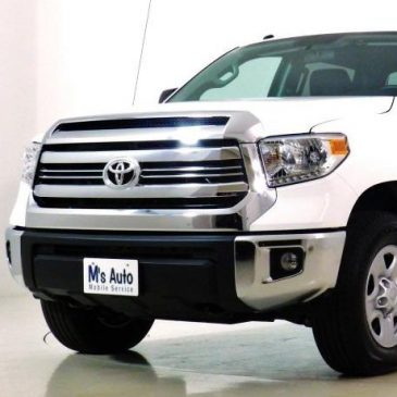 タンドラからタンドラへ♪