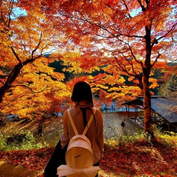 豊田市の大井平公園へ紅葉見物♪