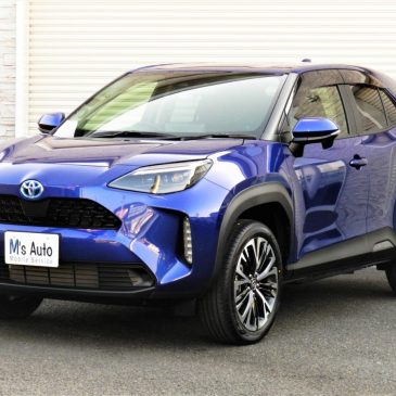 また10年後も来ちゃうかも(＾ω＾)