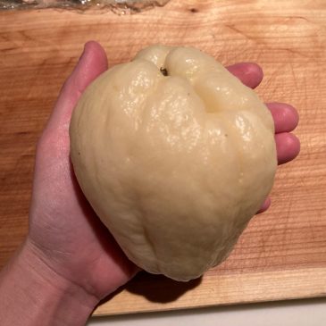 いただきもの♡