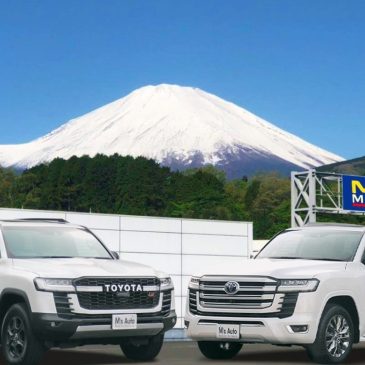 明けましておめでとうございます！