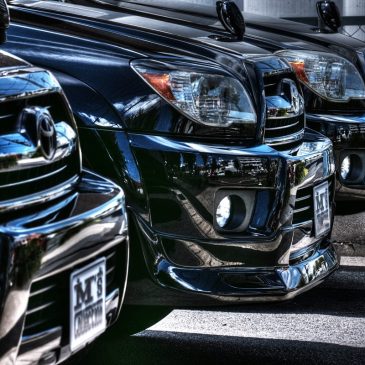 6月のボディ･メンテナンスキャンペーン♪