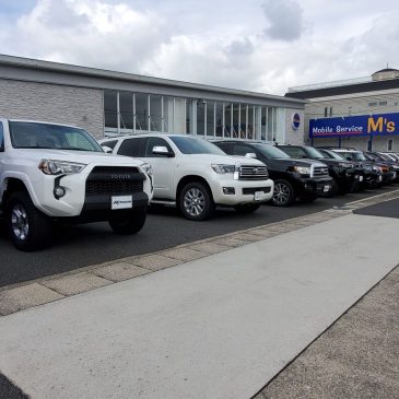 延長決定！コーティングキャンペーン！