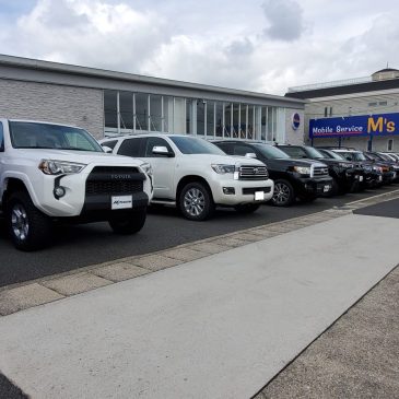 1月の新春キャンペーン