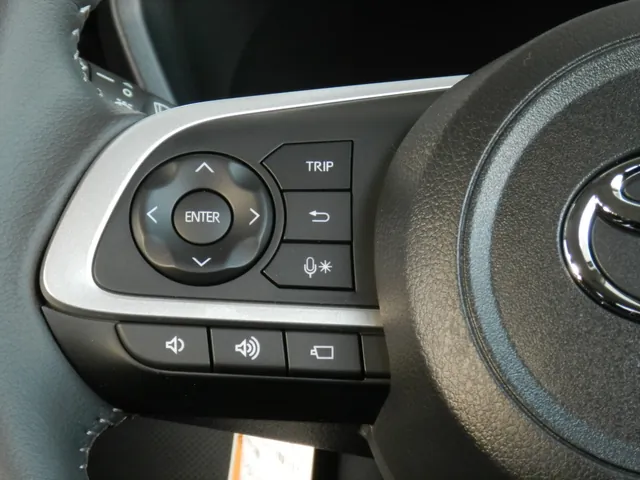 ライズ 2026年式 運転席のドアトリム全体