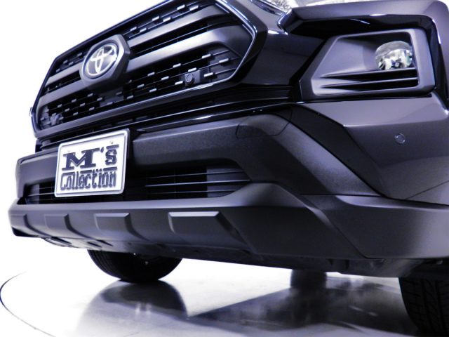 RAV4 フロントバンパーモールディング（艶消しブラック）(エムズオート)