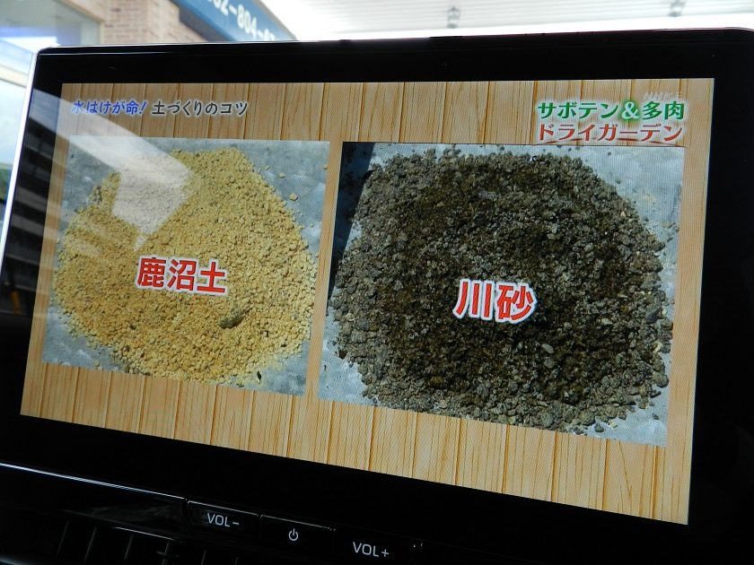 カローラクロス 実車写真7