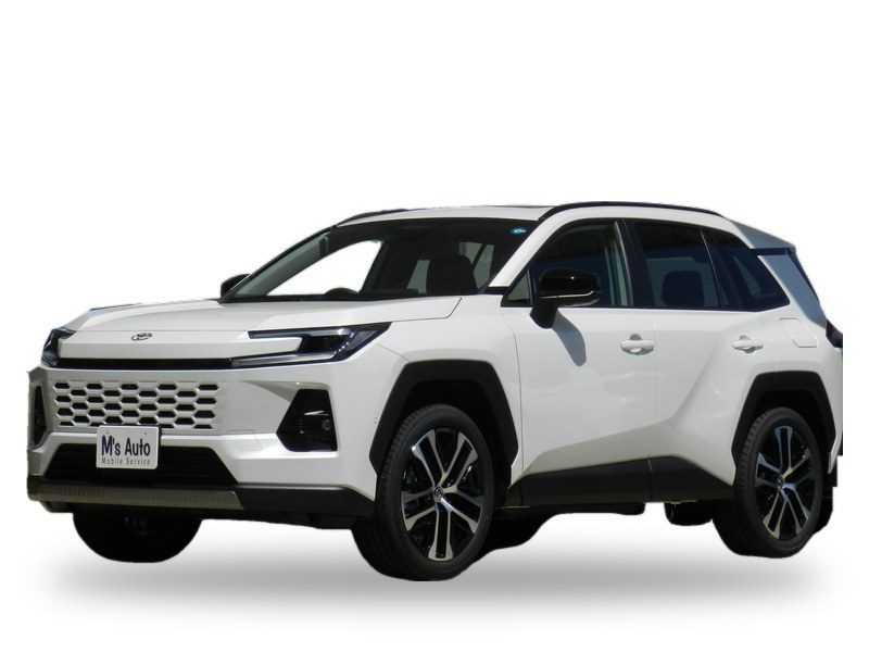 RAV4（新型・6代目）