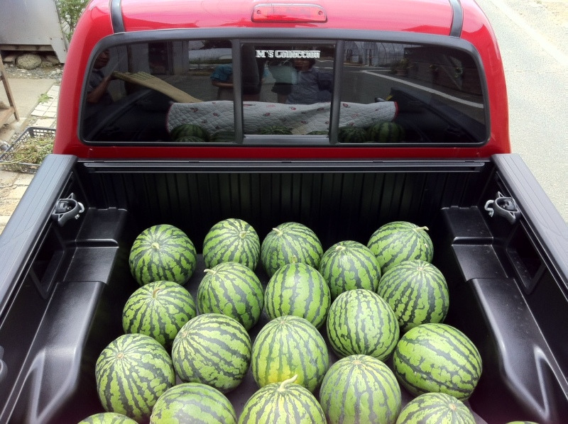 タコマ 実車写真4