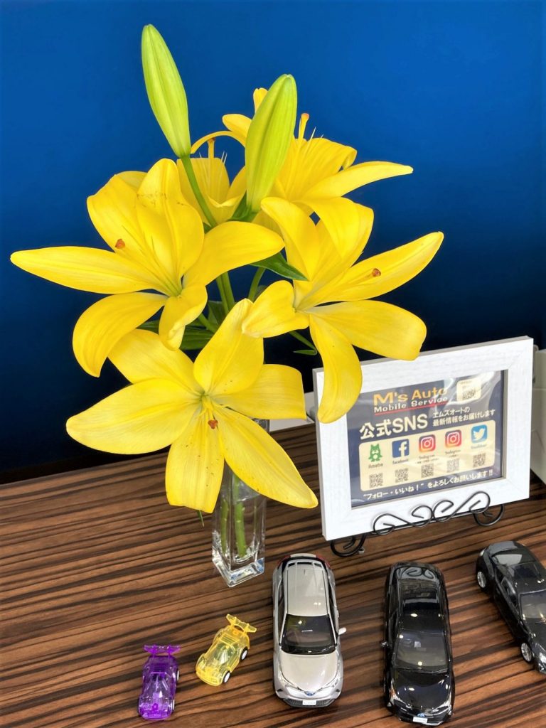 店内に飾られたユリの花と公式SNS案内、ミニカー展示