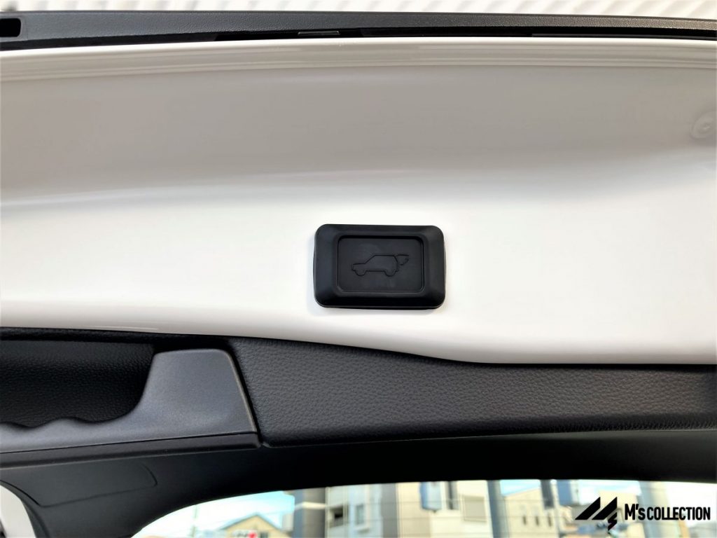 トヨタRAV4ハイブリッド パワーバックドアの開閉スイッチクローズアップ