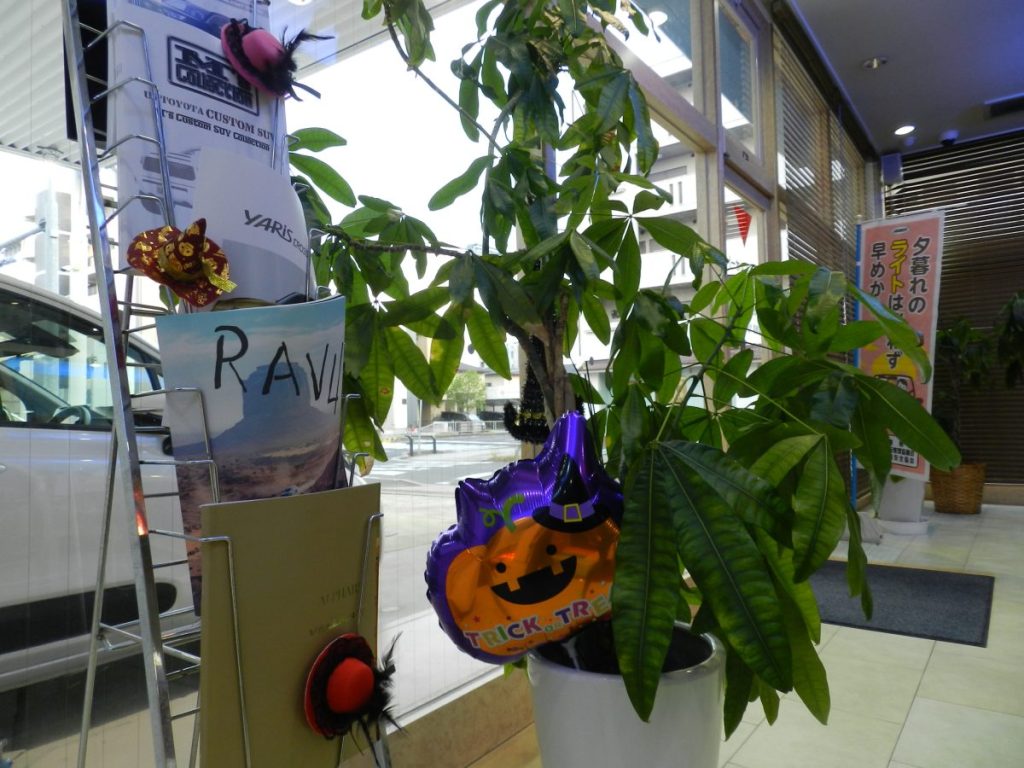 エムズオート店頭 観葉植物とカボチャハロウィン飾り