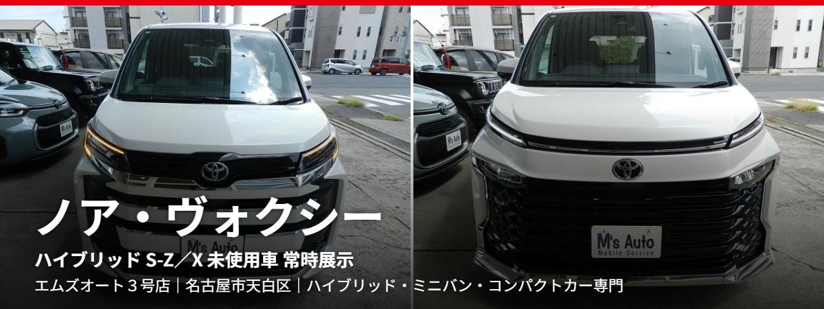 ノア・ヴォクシー(エムズオート取扱車種)